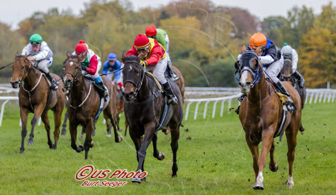 Mr Fong yderst t.h. med jockey Shane Karlsson sejrer i Sessan Handicap. Foto: Burt Seeger