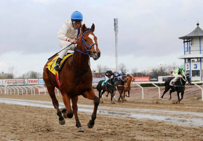 Mr Horsepower med jockey Marcos Robaldo tog en let sejr på Jägersro. Foto: Stefan Olsson