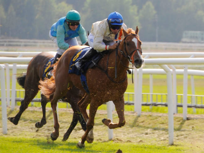 Ovenlegen sejr til Prinsessen GB  på
	Täby Galopbane. Udsnit, arkivfoto Stefan Olsson, Svensk Galopp