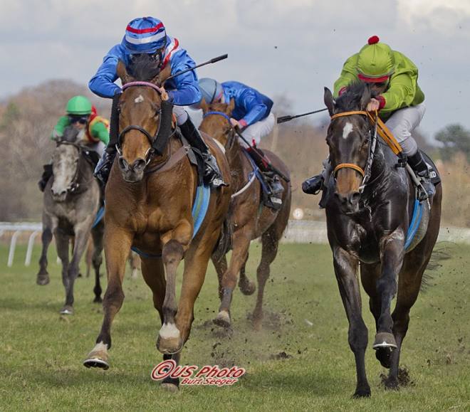 Rockyto overraskede stort i et maidenløb over 1800m, og kan se frem til en spændende karriere. Foto Burt Seeger