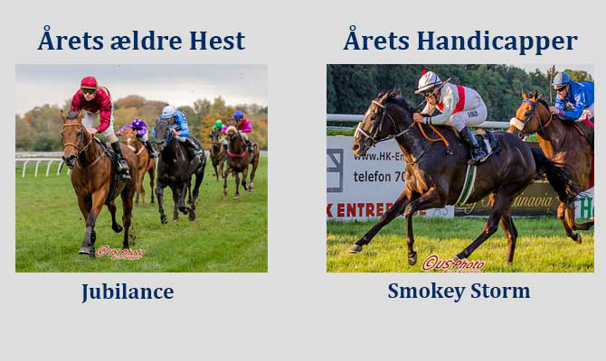 Jubilance nomineret som Årets Ældre Hest 2013. Smokey Storm nomineret som Årets Handicapper 2013