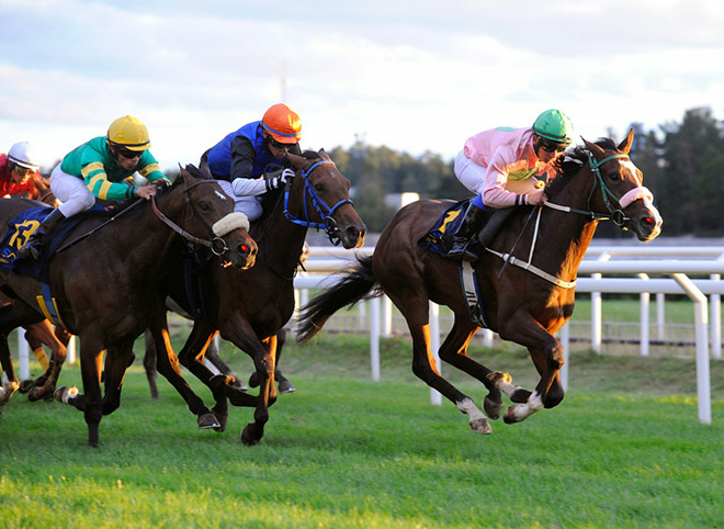 Svenskfødte Anassa's andenplads i SM for 2-Åriga på
	Täby Galoppbane bringer staldens indtjening op på et trecifret millionbeløb. Foto Stefan Olsson / Svensk Galopp