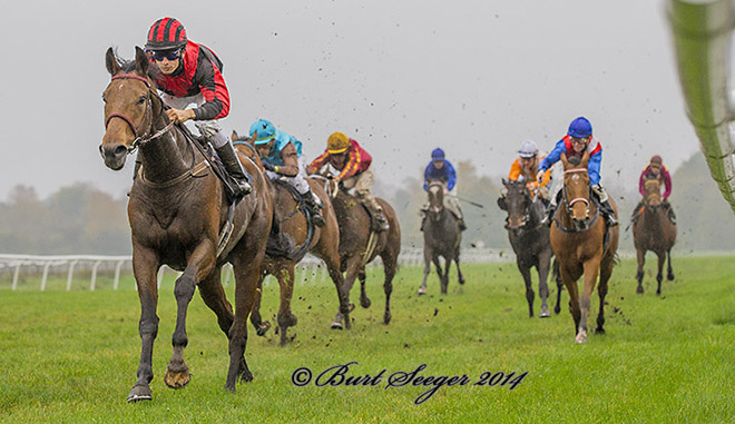 Call Of Duty viste sig fuldkommen overlegen i Tortue Efterårshandicap 2014 med jockey Elione Chaves. Foto Burt Seeger