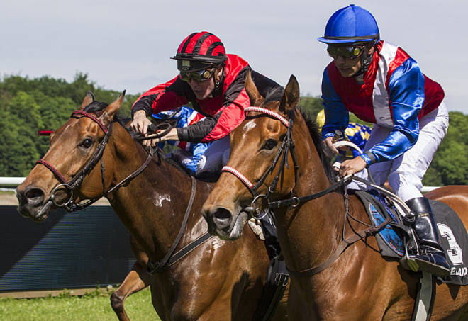 Exquest,nærmest i billedet, vinder Breeders Cup Trial foran Call Of Duty. Foto Burt Seeger