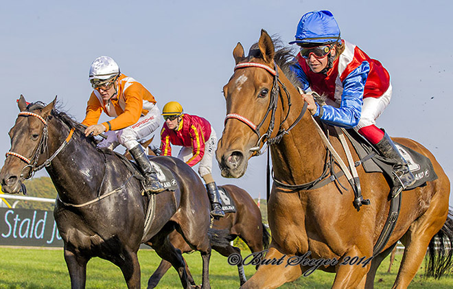 Exquest sejrer i Niels Overgård Memorial lørdag den 11. oktober 2014. Foto Burt Seeger