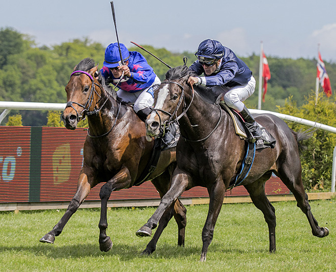 Goldstep passerer målstregen først i 3-Års løb på Klampenborg Galopbane. Foto Burt Seeger