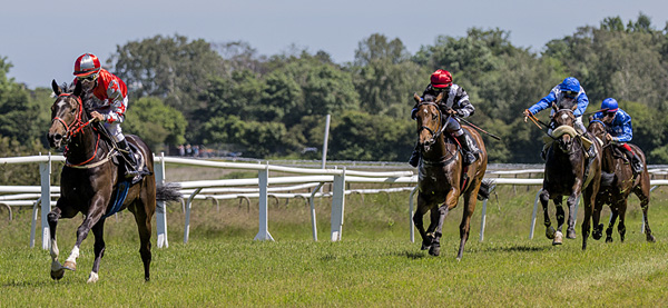 Manacor vinder i sit livs første start, Klampenborg, juni 2014.Foto  Burt Seeger