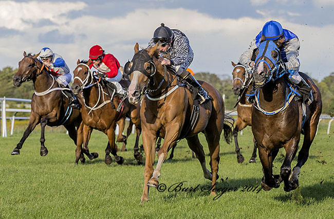 Master Chef gør comeback som vinder med jockey Manuel Santos. Denne gang over 650m i Super Sprint Finale på Klampenborg lørdag den 23. aug. 2014.Foto Burt Seeger