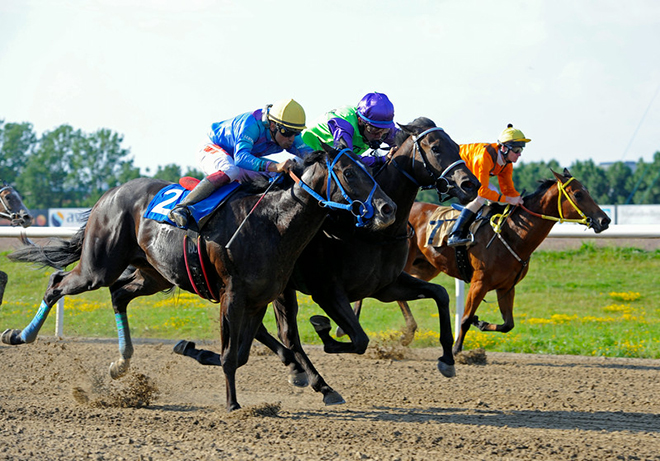 Miss Phone Girl (GB) i midten af billedet med jockey Marcos Robaldo, Jägersro 19. juli 2014. Foto Stefan Olsson  Svensk Galopp