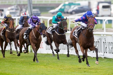 Miss Tiffany sejrer, skarp forfulgt
af Ametyst, i Breeders Prize Sprint på Øvrevoll Galoppbane søndag den 5. oktober 2014