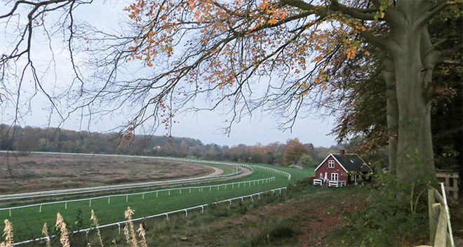 Udsnit af Klampenborg Galopbane i skumringstimen, iklædt sene efterårsfarver på banens sidste løbsdag
	søndag den 2. november 2014