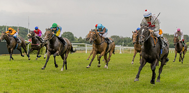 Smokey Storm GB (yderst t.h.) kom i raketfart på de sidste meter. Foto Burt Seeger