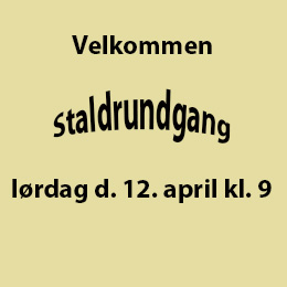 Velkommen staldrundgang 12. april kl. 09.00