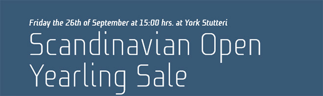 Åringsauktion 2014 på York Stutteri, Hørsholm,
	finder sted fredag den 26. sep. kl. 15.00