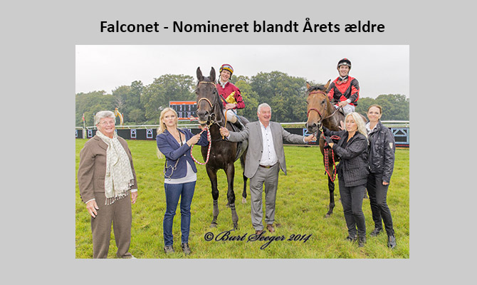Falconet (t.v.) nomineret blandt Årets ældre heste. På billedet sammen med Call Of Duty efter første og andenpladsen i
	Skandinavisk Grand Prix.