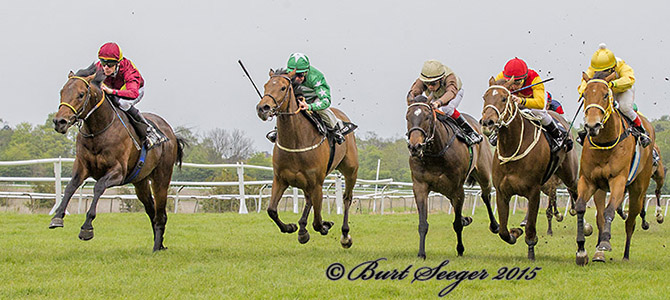 3-årige Brownie (FR) med jockey Jacob Johansen sejrer i sit andet løb på Klampenborg Galopbane 16. maj 2015. Foto Burt Seeger