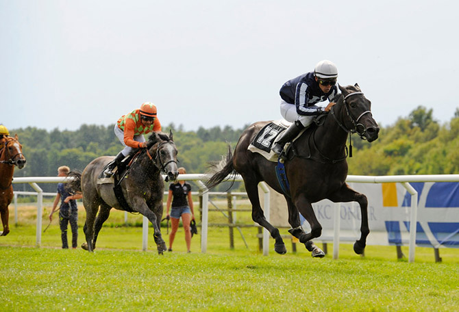 Debutsejr til 2 årige Elektra Art (IRE) på Göteborg Galoppbane 16. august 2015. Foto Stefan Olsson, svensk galopp