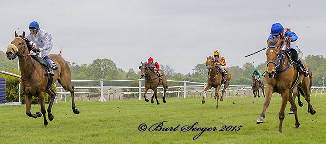 Exquest (DEN) (th) med amatørjockey Lea Olsen
	sejrer på Klampenborg Galopbane 16. maj 2015. Foto Burt Seeger