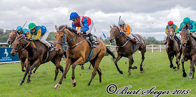 Exquest på vej først over målstregen med jockey 
	Rafael De Oliveira i KHEF Racing Bowl den 6. september 2015. Foto Burt Seeger