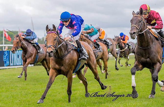 Jockeylærling Kevin Stott er mester for at føre Goldstep først over målstregen i Copenhagen Golden Mile søndag den 28. juni på Klampenborg Galopbane. Foto Burt Seeger