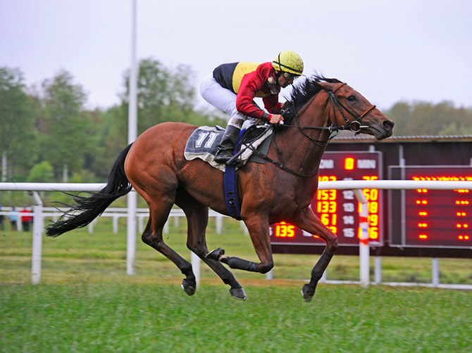 Hoku (IRE) sejrer med to længder og topvægt på Göteborg Galopbane 22. maj 2015 i et løb med 15 deltagere, 
	udskrevet for hopper.  Foto Stefan Olsson  Svensk Galopp