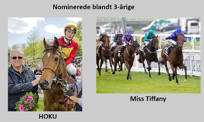 Hoku og Miss Tiffany nomineret blandt 3-årige