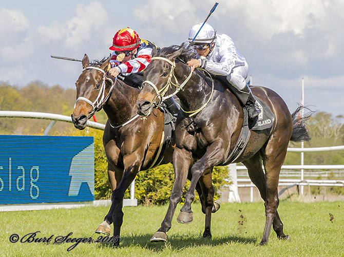 Hongkong Dragon (DEN) vinder i sin debut som 3-årig på Klampenborg Galopbane lørdag den 2. maj 2015. Foto Burt Seeger