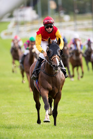 Hongkong Emperor med Marcos Robaldo på Øvrevoll Galoppbane 30. juli 2015.  Hesten vinder med 9 ½ længde.  Foto fra Øvrevoll Galopp’s hjemmeside