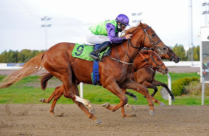 2-årige Houston Heat (SWE) i grønne og violette farver med jockey Marcos Robaldo, passerer målstregen først i et maidenløb på Jägersro Galoppbane 21. oktober 2015. Foto: Steffan Olsson, Svensk Galopp