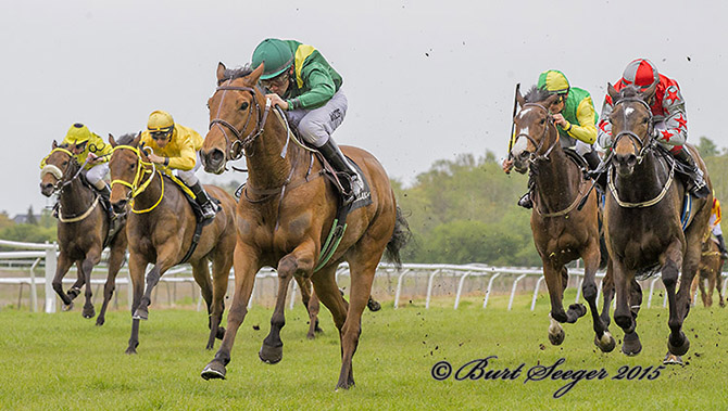 Legial vinder i sin sæsondebut med jockey Marcos Robaldo.
	Foto Burt Seeger