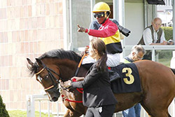 Liber (GB) på vej til dagens store opgør i listed løb på Hoppegarten, Berlin, som hesten vandt