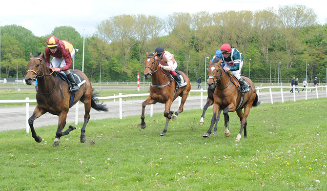 Lord Of Dublin (IRE) vinder med halvanden længde i
Restaurant Derby Ayin Trial Trap over 2000m. Foto Ole Hindby