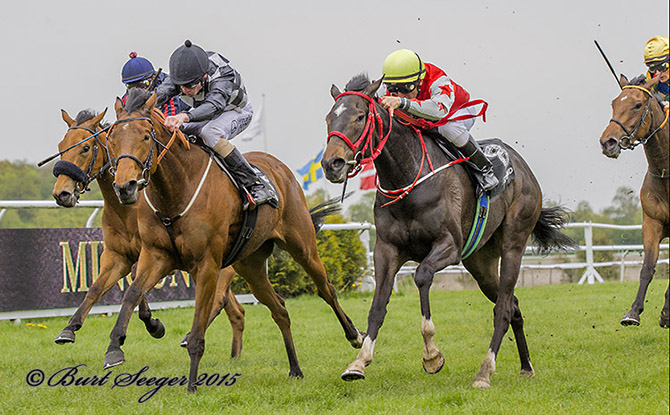 Manacor vinder i sin sæsondebut med jockey
	Rafael De Oliveira. Foto Burt Seeger