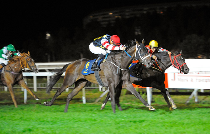 Manacor (inderst) kom flyvende på de sidste meter, men et 
hoved for kort til at slå Dark Eagle (yderst). Foto Stefan Olsson, Svensk Galopp