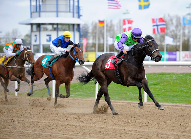 Miss Phone Girl sejrer på Jägersro Galoppbane 12. maj 2015. Foto Stefan Olsson / Svensk Galopp