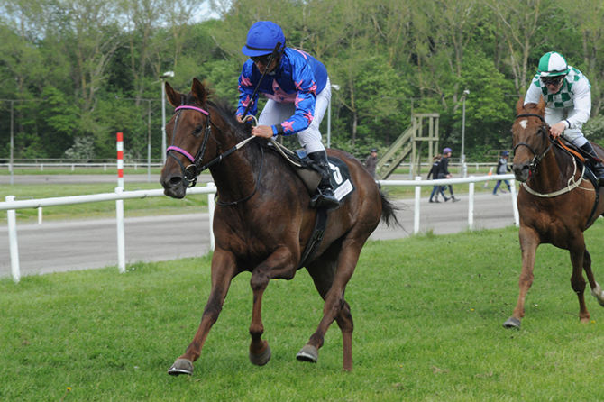 3 årige Negotiator (GB) med jockey Rafael De Oliveira på Jydsk Væddeløbsbane på vej mod sin første sejr den 7. juni 2015. Foto: Ole Hindby