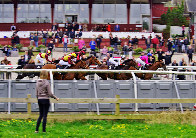 Call Of Duty (DEN),Jubilance (IRE) og Falconet (DEN) fra Bent Olsens stald kommer ind som henholdsvis tredje, fjerde og femte i Dansk Jockey Club Cup, 2015. Foto Joakim
	 Joakim Munck af Rosenschöld