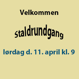 invitation til staldrundgang 2015