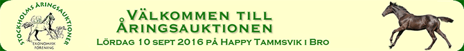 SAEF Åringsauktion, Happy Tammsvik, Bro, lørdag den 10/9 kl. 14.00