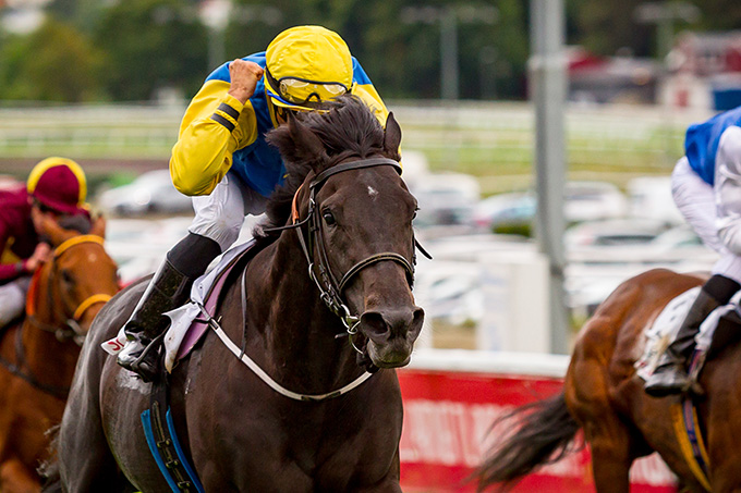 Cabanac (GB) med jockey Jacob Johansen ses i baggrunden af billedet bag vinderen af Norsk Derby 2016 Our Last Summer. Foto Hestesportens Bildearkiv