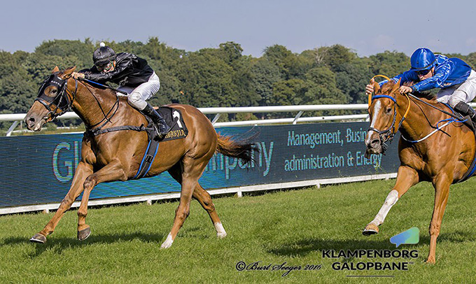 Maidensejr til De Fem Stjerner i hestens andet løb, redet af jockey Oliver Wilson. 
Foto Burt Seeger