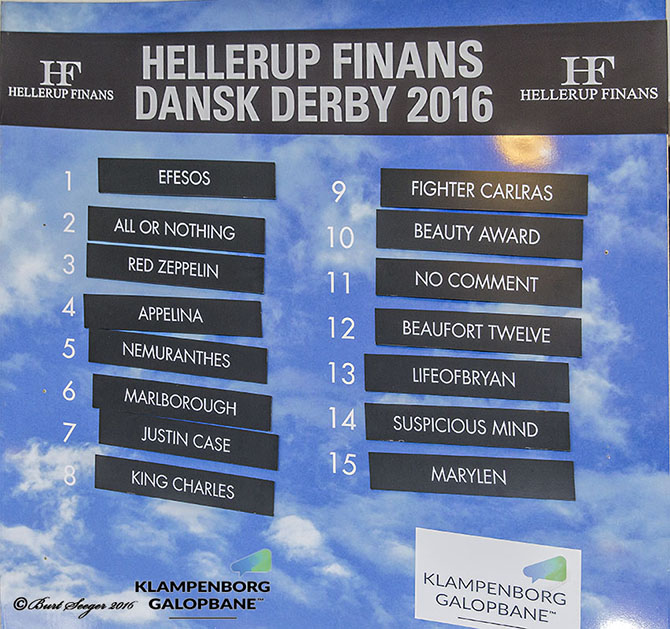 Resultatet af lodtrækningen om startspor til Dansk Derby 2016. Foto Burt Seeger
