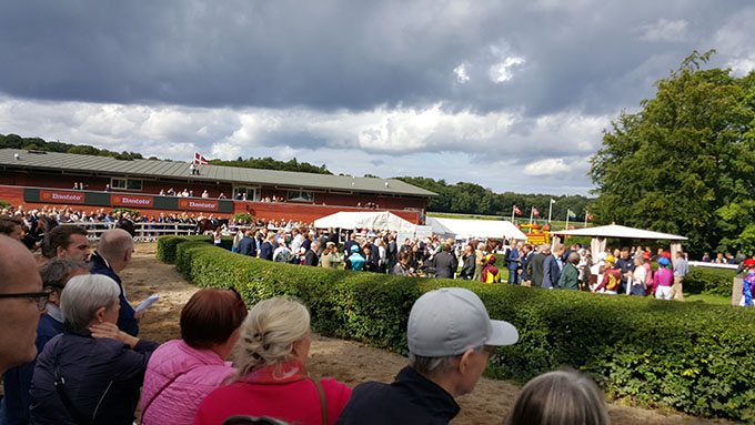 Stemningsbillede fra Dansk Derbydag 2016. Foto styles-ok