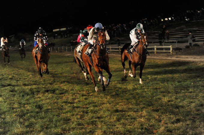 Desert Eagle ses her som vinder af den Jydske Vinterfavorit, 2016, redet af jockey Nelson De Souza. Foto Ole Hindby