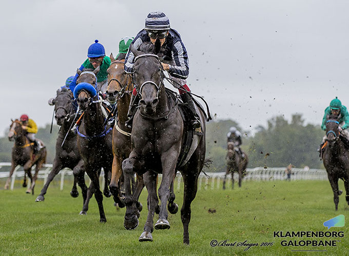 Elektra Art (IRE) vinder sikkert Dansk Oaks 2016 med 1,5 længde. Foto Burt Seeger