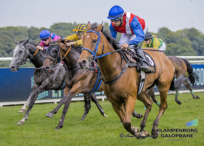 Exquest sejrer med jockey Carlos Lopez i Benny Jensen Memorial.  Foto Burt Seeger