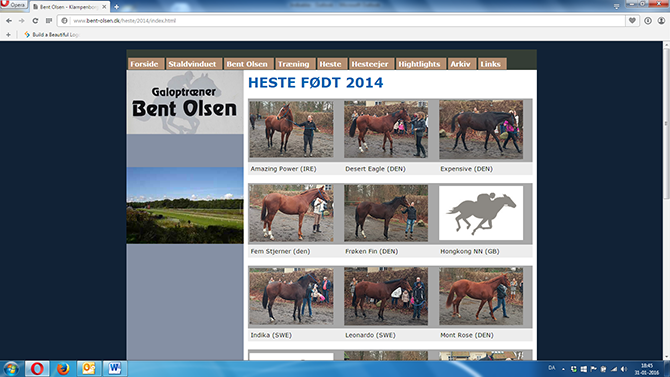 Heste født 2014 i træning hos galoptræner Bent Olsen