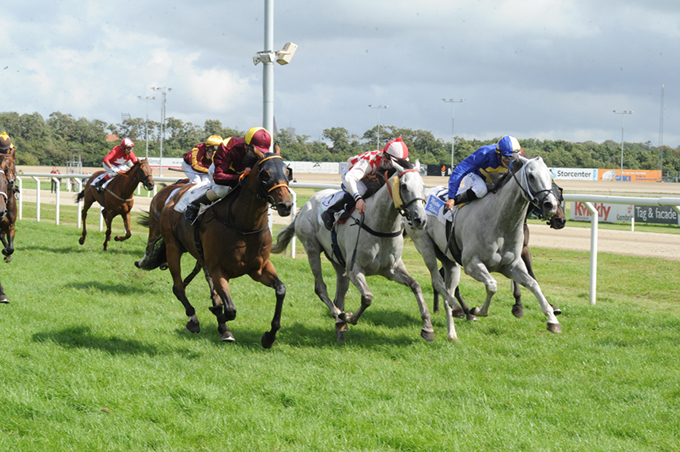 Storløbssejr i Aalborg til Lord Of Dublin (IRE), redet af Jacob Johansen, i NKI Champion Stakes. Foto Ole Hindby