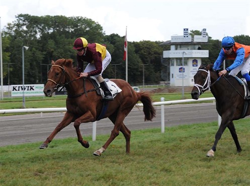 For anden gang i Mont Rose’s 2-årige karriere ser vi her hesten på vej mod sejr på Jydsk Væddeløbsbane lørdag den 1. oktober, redet af jockey Jacob Johansen. Foto: Ole Hindby