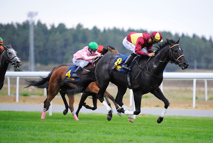 No Comment, ejet af Lone Kaj-Nielsen, opnår sin
første sejr på Bro Park søndag den 11. sep. 2016. Foto Stefan Olsson, Svensk Galopp
